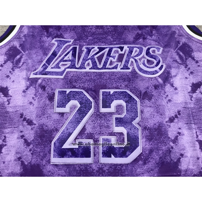 Maglia Los Angeles Lakers LeBron James #23 Select Series 2023 Viola